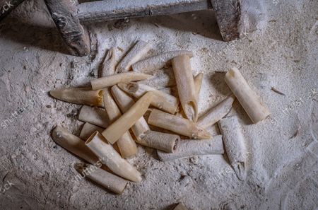 African Bone workshop